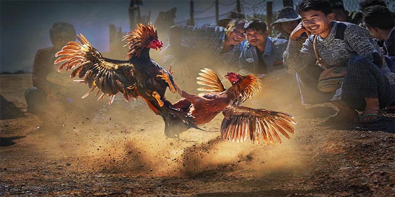 98win58 chơi bắn cá đổi thưởng