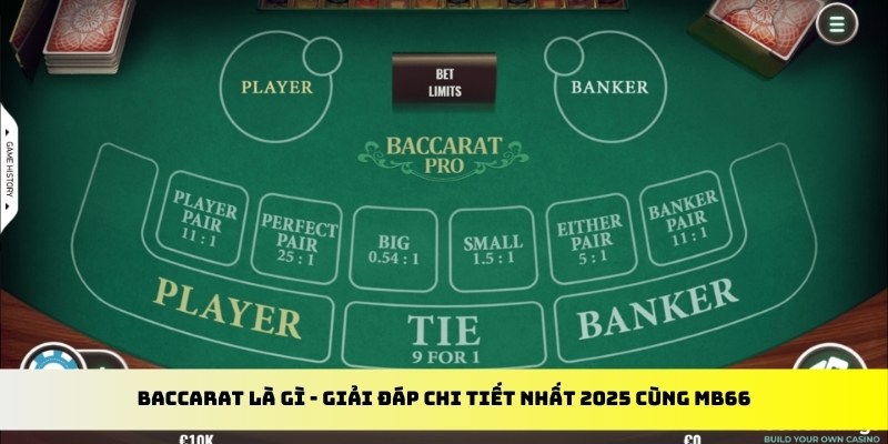 98win58 gà chọi cu cần