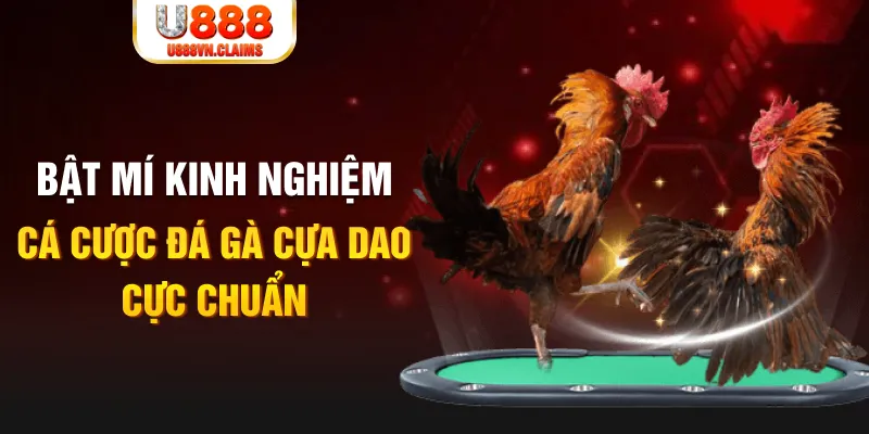 98win58 tỷ lệ cá cược châu á là gì