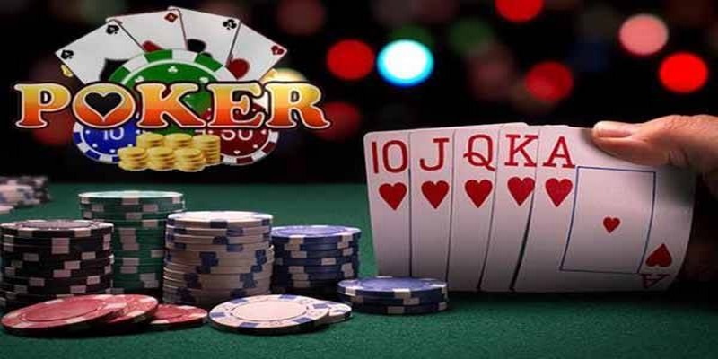98win58 đá gà thomo trực tiếp