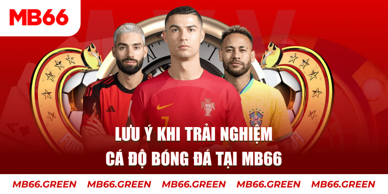 98win58 cá cược là gì
