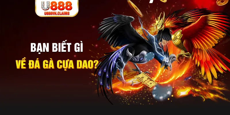 98win58 nổ hủ là gì