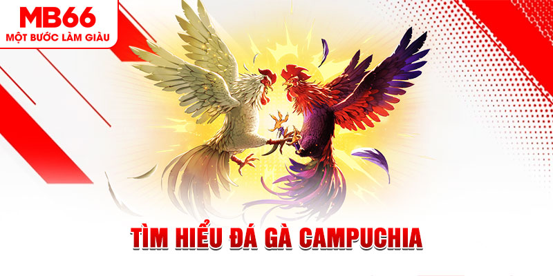 98win58 đá gà trực tiếp