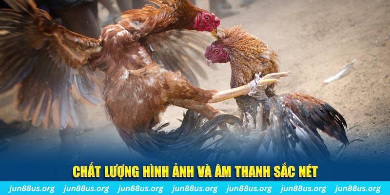 98win58 đăng nhập roulette live