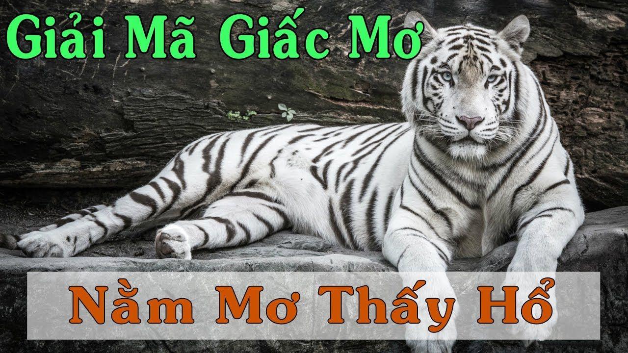 98win58 WM Trực Tuyến
