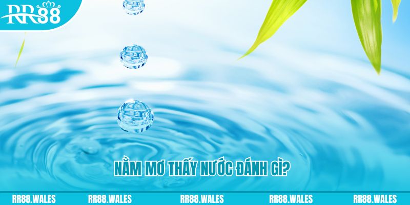 98win58 TP Bắn cá