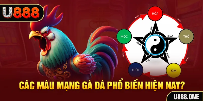 98win58 trực tiếp đá gà 88