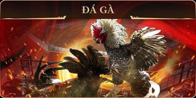 98win58 xổ số miền nam thứ hai