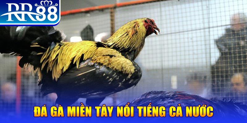 98win58 JILI Game Bài 3d