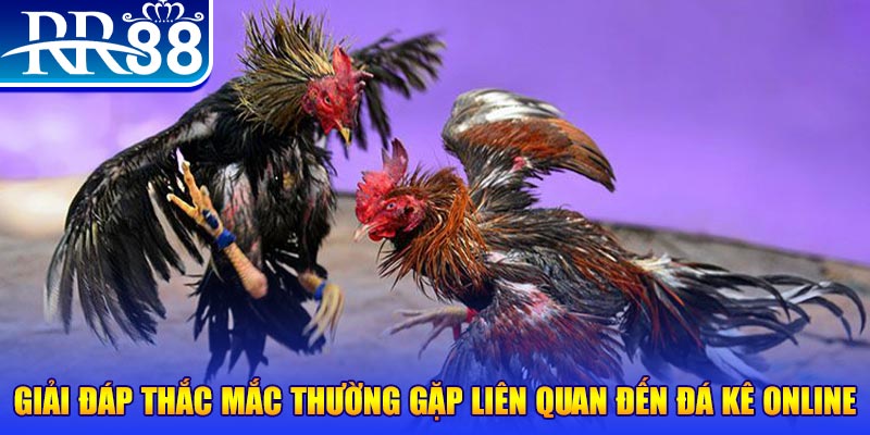 98win58 xổ số đà lạt