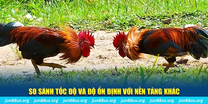 98win58 đá gà hôm nay
