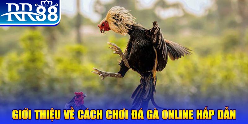 98win58 game nổ hũ rút tiền mặt là gì