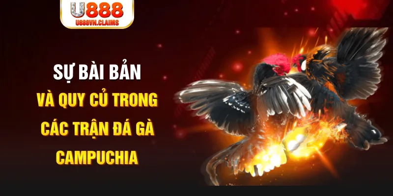 98win58 YGR Điện Tử