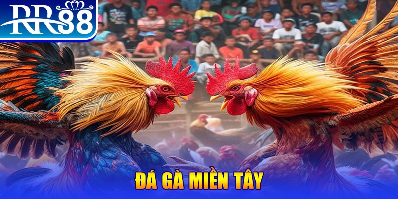 98win58 đăng nhập nổ hũ